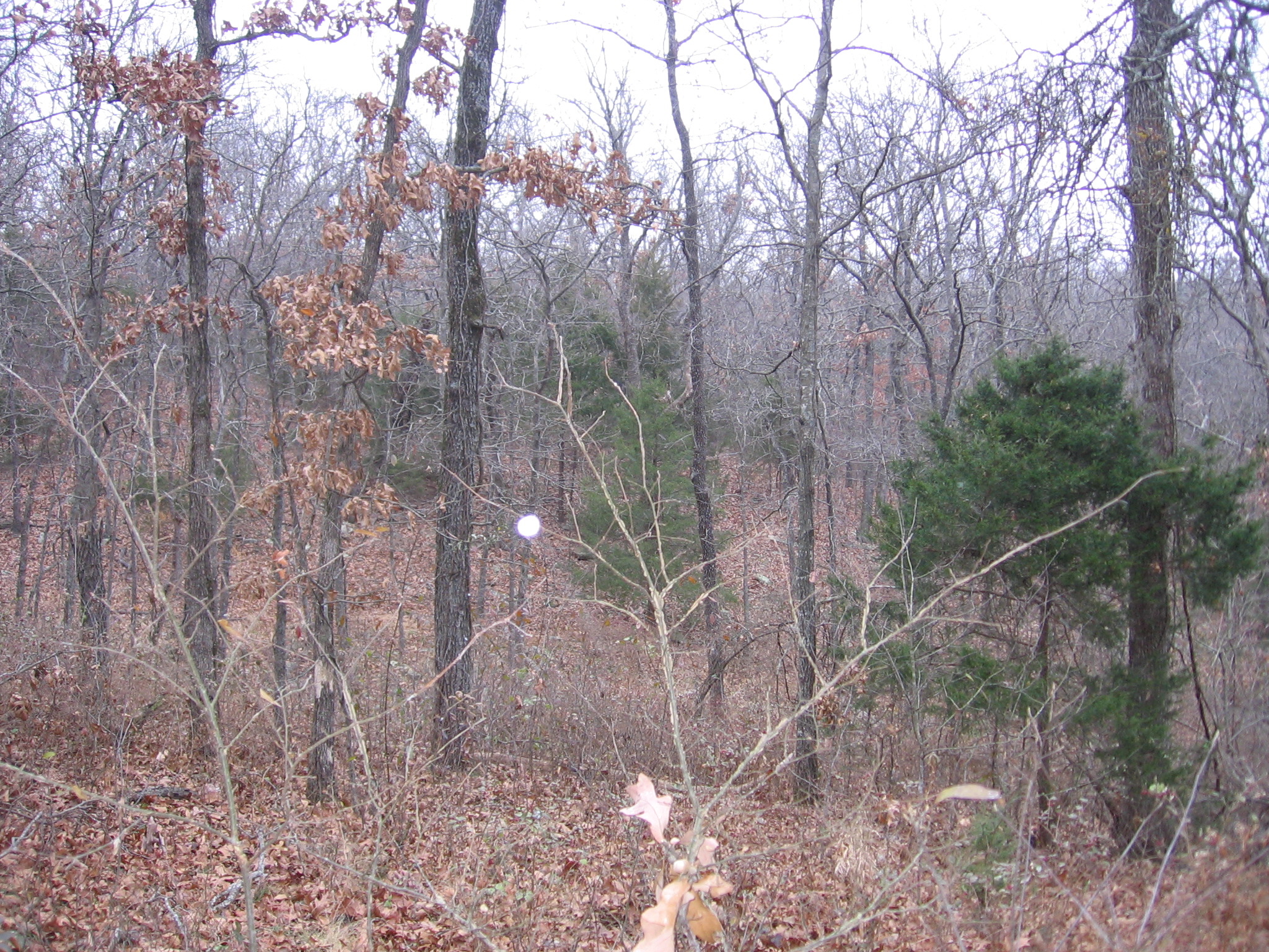 Click picture to ZOOM